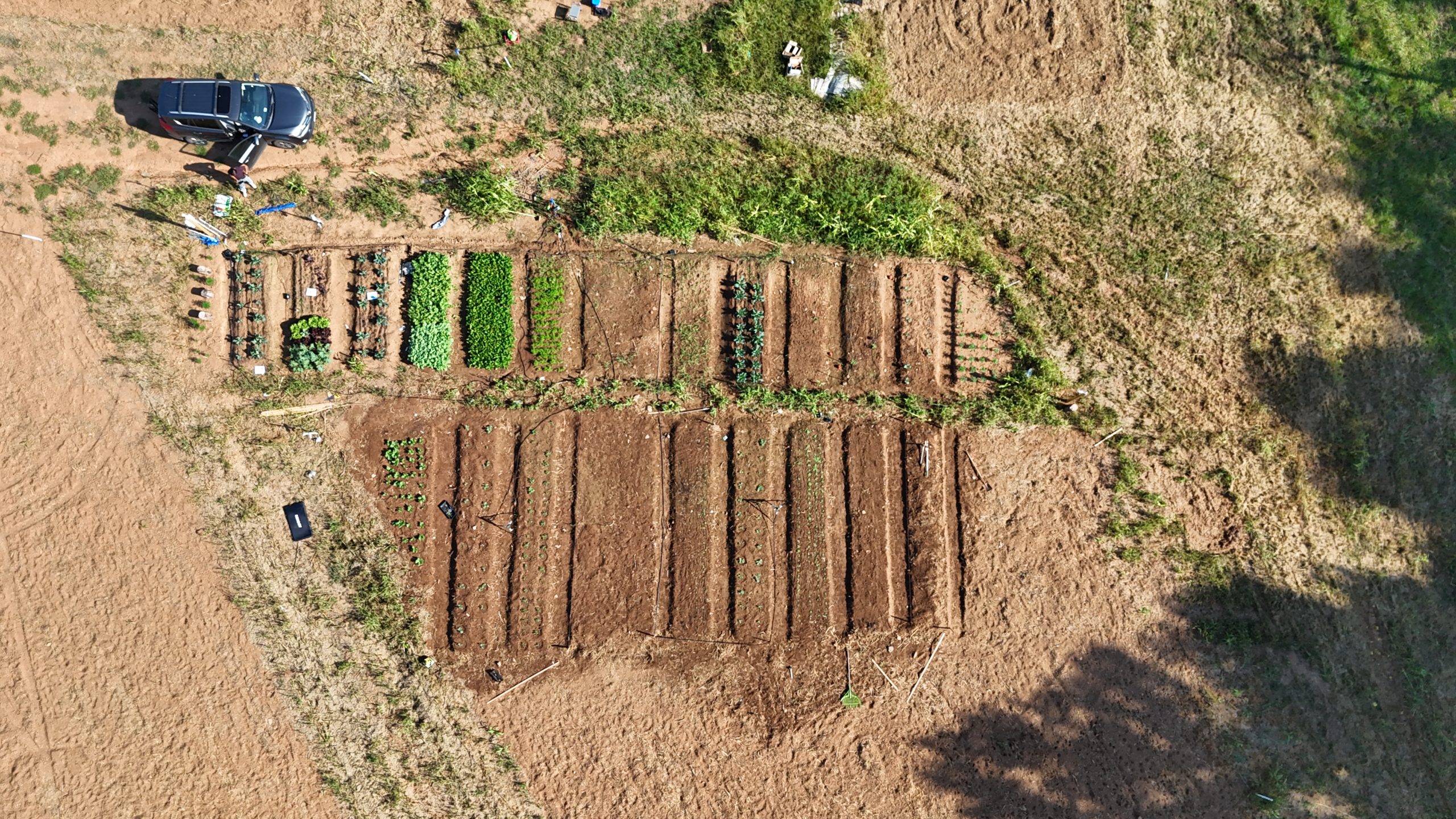 Agriculture AI